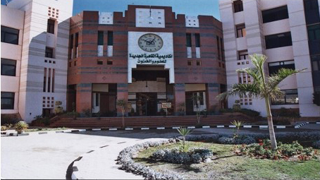 New Cairo Academy – PEC PROJECTS Engineering Consultancy
